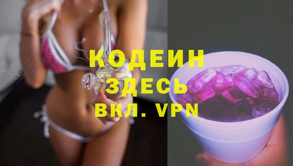 дживик Мегион